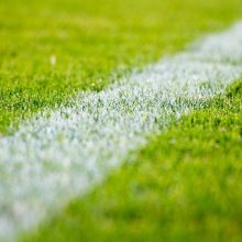 Herren starten wieder ins Training