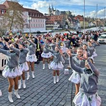 Fasching 2025 – unterwegs mit dem SVD