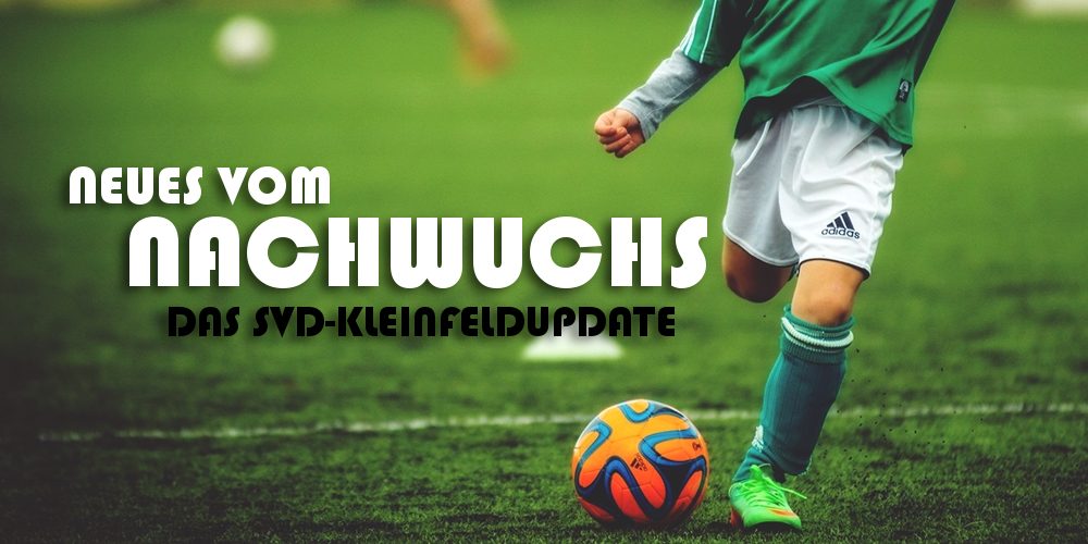 Neues vom Nachwuchs – Update vom 29.09.2020